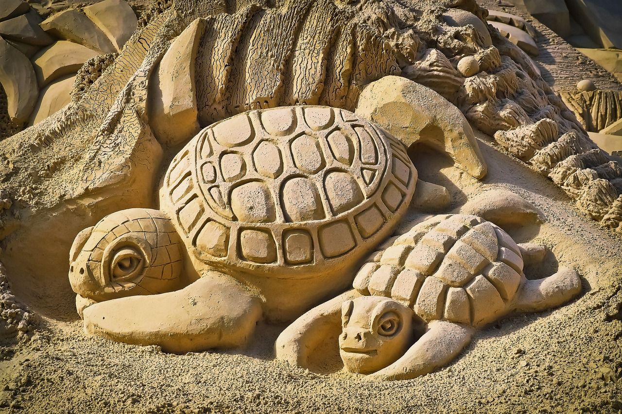 tortugas y turismo